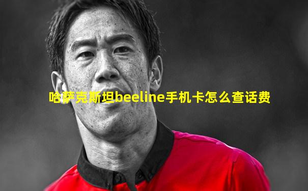 哈萨克斯坦beeline手机卡怎么查话费