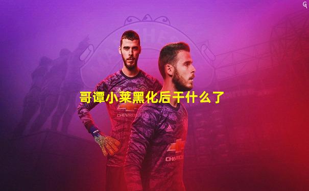 哥谭小莱黑化后干什么了