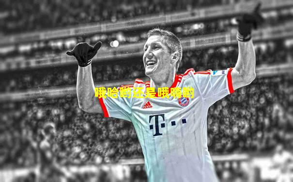 哦哈哟还是哦嗨哟