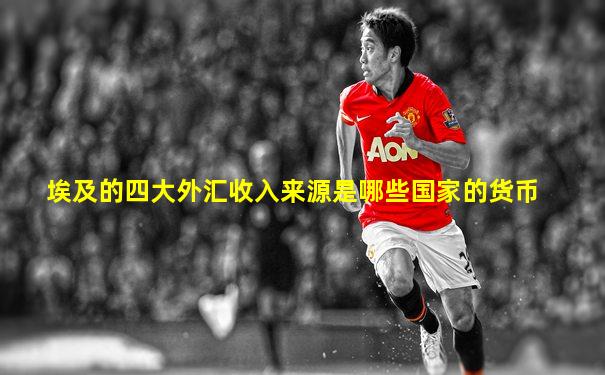 埃及的四大外汇收入来源是哪些国家的货币