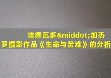 埃德瓦多·加杰罗摄影作品《生命与苦难》的分析