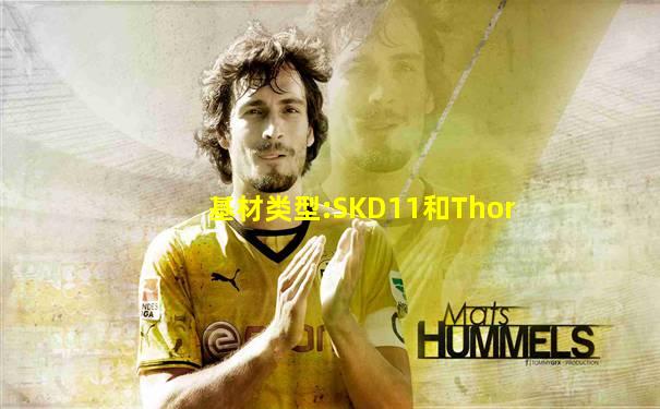 基材类型:SKD11和Thor