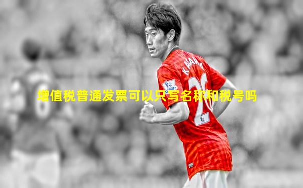 增值税普通发票可以只写名称和税号吗