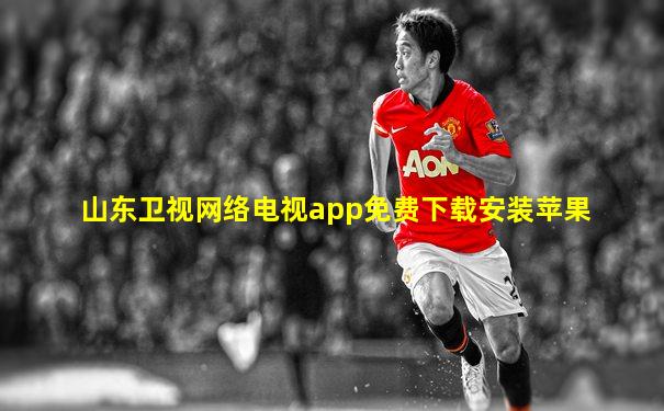 山东卫视网络电视app免费下载安装苹果