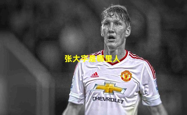 张大宇是哪里人