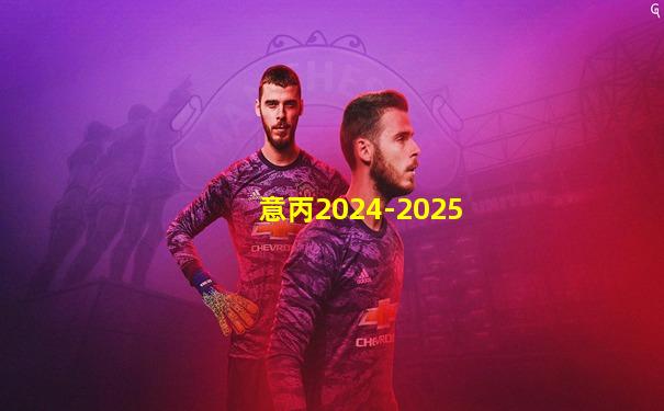 意丙2024-2025