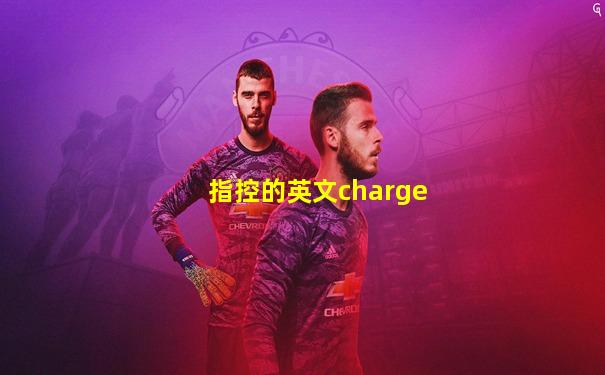 指控的英文charge