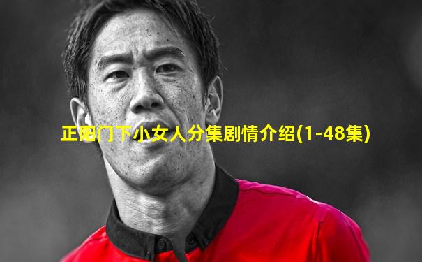 正阳门下小女人分集剧情介绍(1-48集)