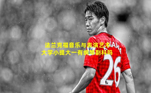 法兰克福音乐与表演艺术大学小提大一有纲琴副科吗