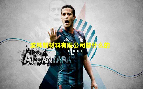 波林新材料有限公司做什么的