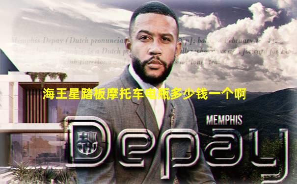 海王星踏板摩托车电瓶多少钱一个啊