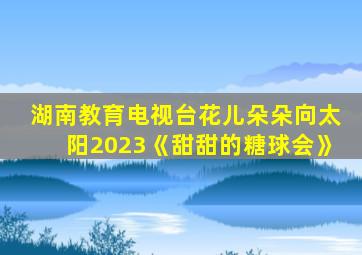 湖南教育电视台花儿朵朵向太阳2023《甜甜的糖球会》