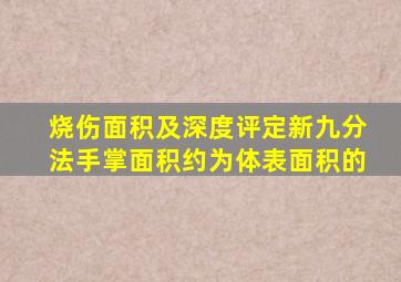 烧伤面积及深度评定新九分法手掌面积约为体表面积的