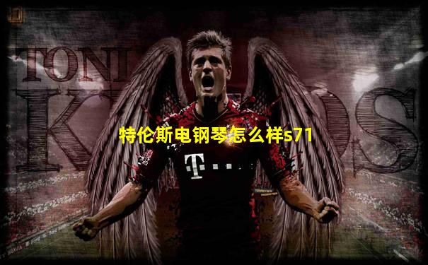 特伦斯电钢琴怎么样s71
