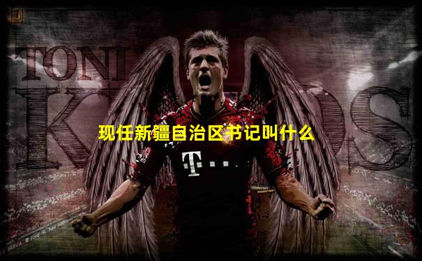 现任新疆自治区书记叫什么