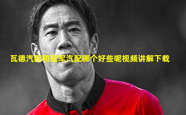 瓦德汽配和冠军汽配哪个好些呢视频讲解下载
