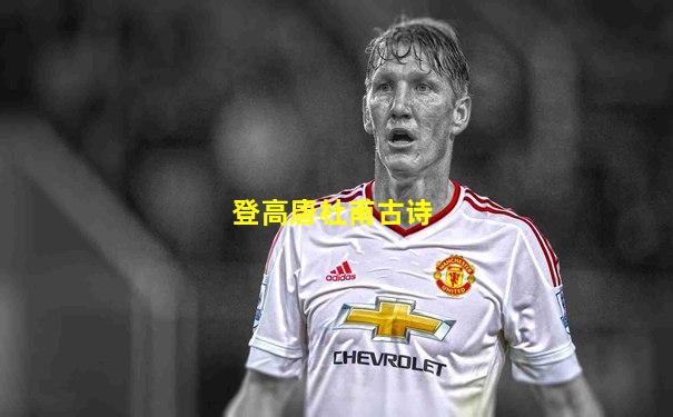 登高唐杜甫古诗