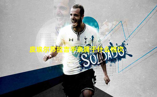 皮埃尔苏拉吉手表属于什么档次