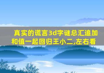 真实的谎言3d字谜总汇追加和值一起回归王小二,左右看
