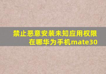 禁止恶意安装未知应用权限在哪华为手机mate30