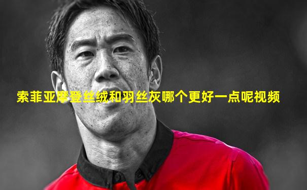 索菲亚摩登丝绒和羽丝灰哪个更好一点呢视频
