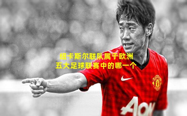 纽卡斯尔联队属于欧洲五大足球联赛中的哪一个