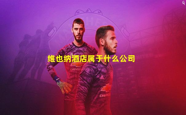 维也纳酒店属于什么公司