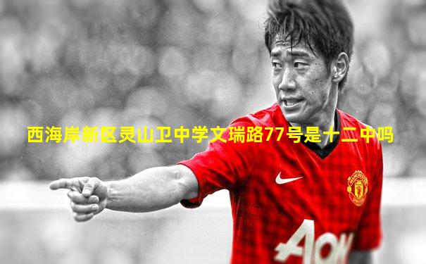 西海岸新区灵山卫中学文瑞路77号是十二中吗